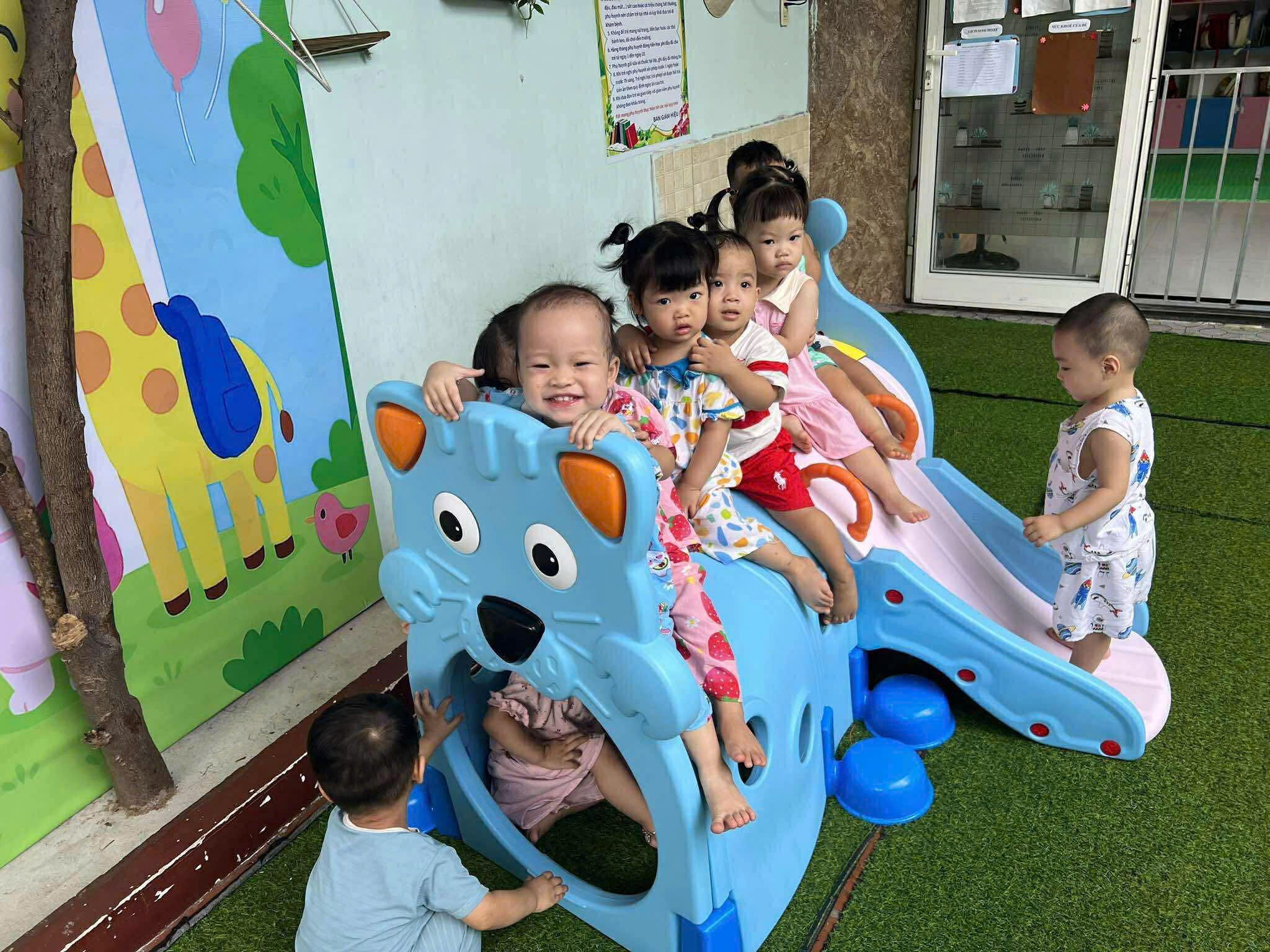 cau-truot-hang-chui-nhua-an-toan-cho-truong-mam-non-ban-giam-hieu-chu-truong, ham-chui-con-meo_ham-chui-cau-truot-nhua-an-toan-cho-truong-mam-non-ban-giam-hieu-chu-truong.